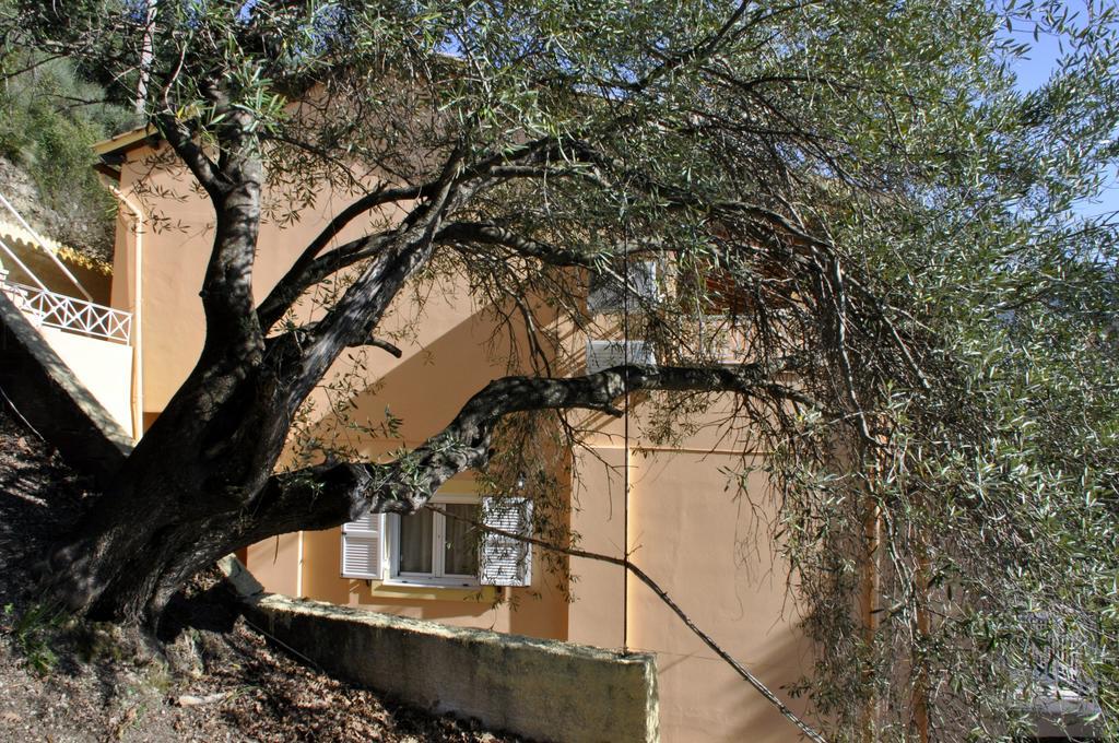 Stella'S Apartments Agios Gordios  Exterior foto